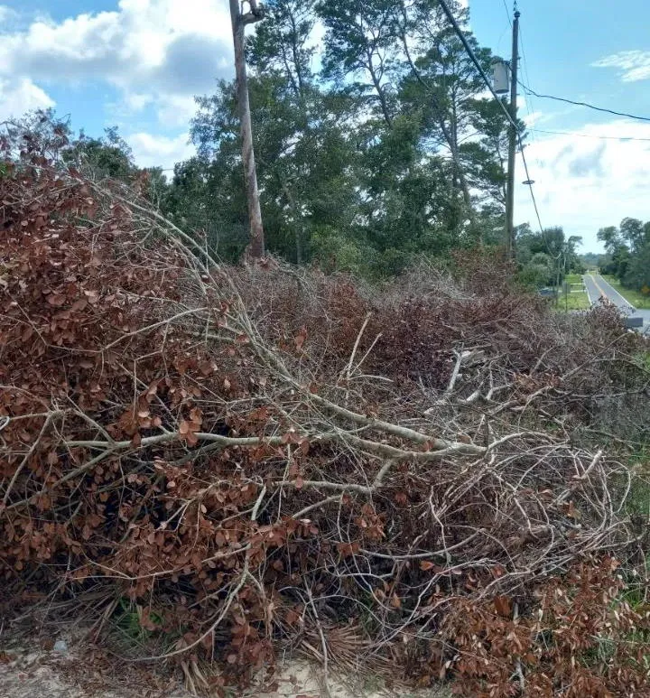 Yard debris and waste removal in Tampa by GO4 Junk Removal